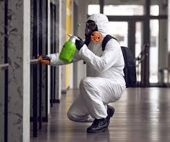 Best Mold Odor Removal Services  in Flowing Wells, AZ